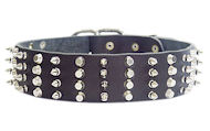 2 inch Leather Dog Collar with STUDS and SPIKES for Great Dane