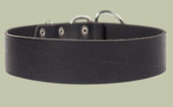 2 inch wide All Weather Collar for Great Dane-Leather Collar