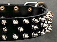 Black Leather Spiked dog Collar for Great Dane