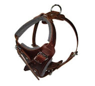 Comfort Padded Dog Harness for Great Dane