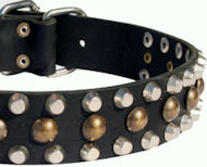 Custom Studded Leather Dog Collar for Great Dane