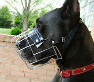 Large Dog Muzzle for Great Dane or German Mastiff muzzle