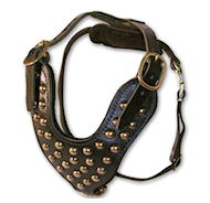Studded Leather Dog Harness Perfect For Great Dane