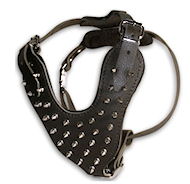 Spiked Leather Dog Harness Perfect For Great Dane