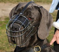 Great Dane dog muzzles,wire basket dog muzzles for German Mastiff