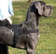 Nylon multi-purpose dog harness for tracking pulling with handle