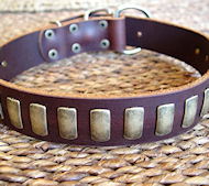 Great Dane dog Dog Collars