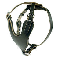 Heavy Duty Dog Harness for Great Dane