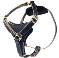 Latigo Adjustable Harness-Great Dane Leather Harness