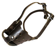Latigo Safety Muzzle for Great Dane