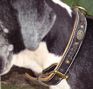 CUSTOM Leather Dog Collar for Great Dane