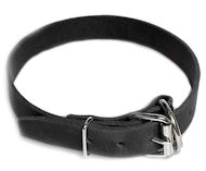 Leather Field Collar for Great dane