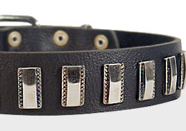 Ornament Dog Collar made of leather for Great Dane