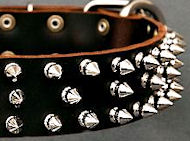 Protector Full Spiked Latigo Dog Collar for Great Dane