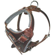 Similar to Redline K9 Pro Leather Dog Harness for Great Dane