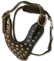 Studded Leather Dog Harness Perfect For Great Dane Studded Leather Dog Harness Perfect For Great Dane