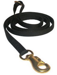 Tubular Nylon Waist Leads 6ft for Great Dane