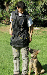 Buy Light Weight Training Vest for Dog Trainers