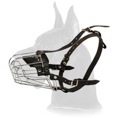  Perfect for all seasons wire basket muzzle