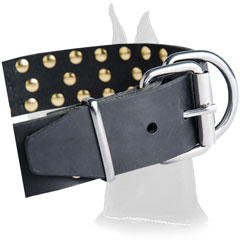 Nickel Plated Buckle on Leather Great Dane Collar