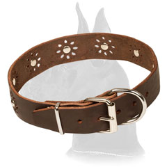 Brown Studded Leather Collar