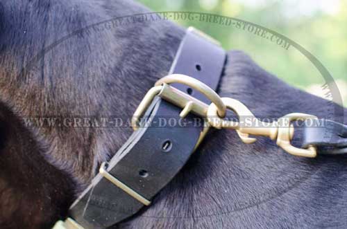 Great Dane Leather Collar for different usage
