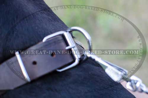 Great Dane Leather Collar for walking