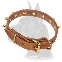 Top-quality Great Dane Leather Dog Collar