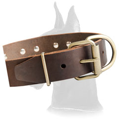 Great Dane Leather Collar with brass decoration