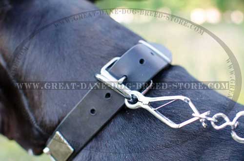 Great Dane Leather Collar with strong hardware