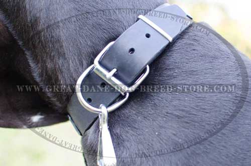Superb Great Dane Leather Collar with firm hardware