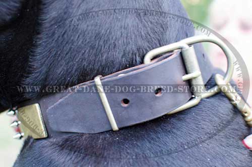 Amazing Great Dane Leather Canine Collar