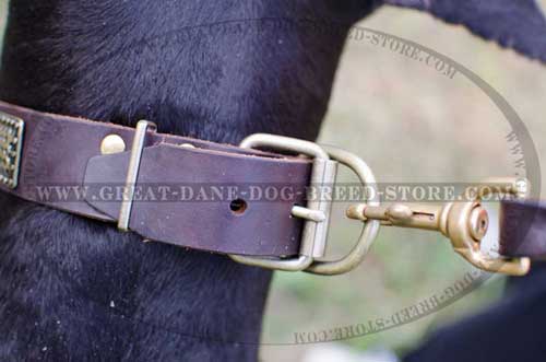 Strong Great Dane Leather Collar
