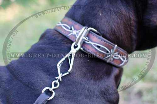 Great Dane Leather Collar with firm hardware