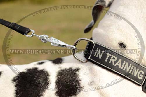 Great Dane Nylon Dog Collar with D-ring