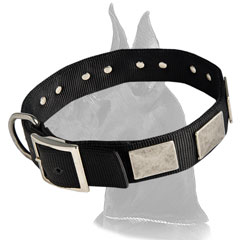 Great Dane Collar with D-ring