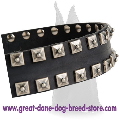 Fashionable Studded Leather Collar for Great Dane