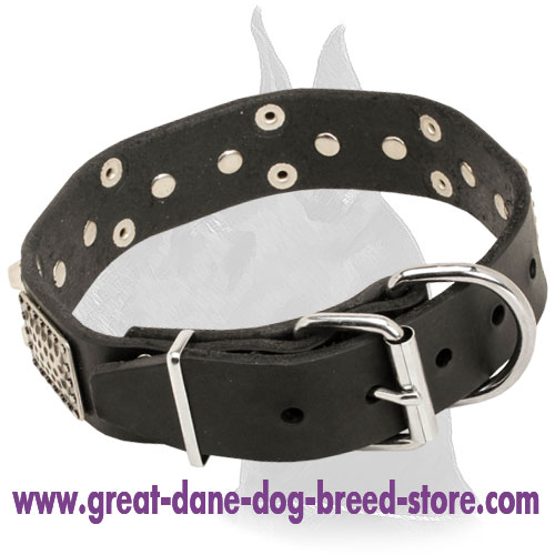 Designer Leather Collar for Great Dane