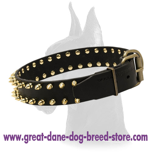 Unbelievable Leather Collar with Gold-Like Spikes