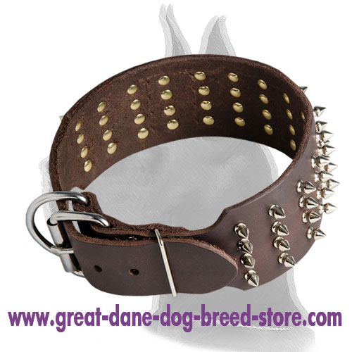 Super Wide Spiked Collar with Traditional Buckle
