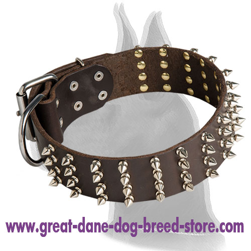 Extra Wide Leather Collar with Spikes for Great Dane