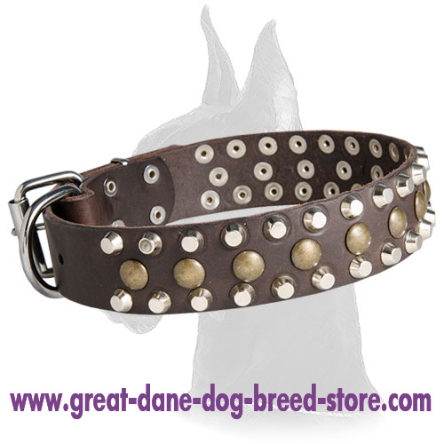 Great Dane Wide Leather Collar with Studs and Pyramids