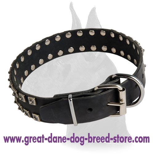 Great Dane Leather Collar with rust-proof fittings