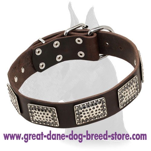 Great Dane Leather Collar With Stylish Nickel Plates