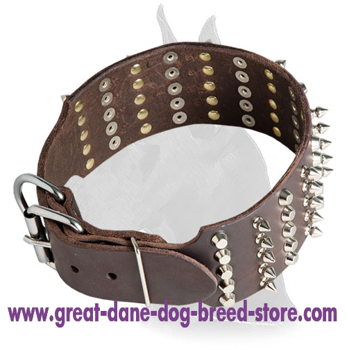 Great Dane Leather Collar Decorated with Studs and Pyramids