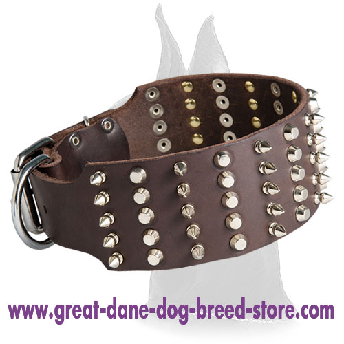 Daily Walking Spiked and Studded Great Dane collar
