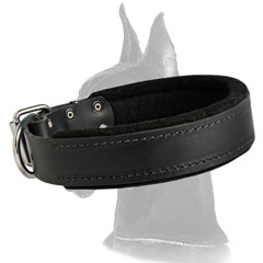 Stitched Great Dane Leather Dog Collar