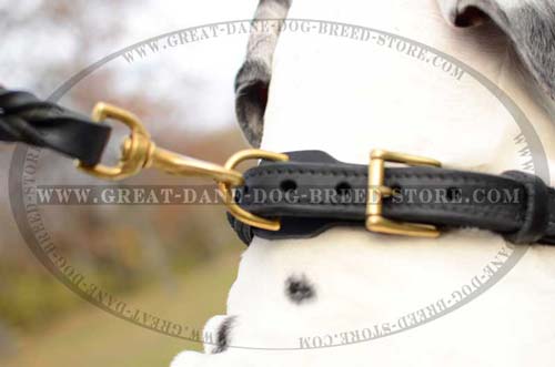 Multipurpose Great Dane Leather Collar