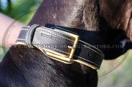Great Dane Leather Collar with brass fittings