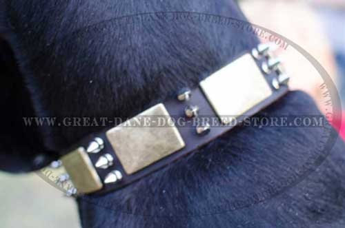 High-quality Great Dane Leather Collar with nickel spikes